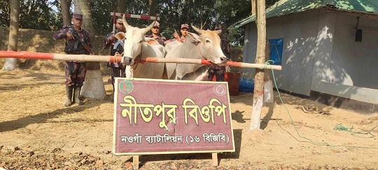 image-here